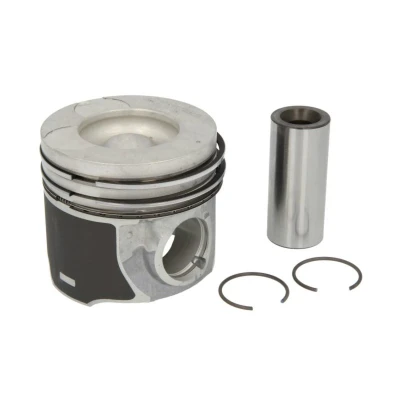 Imagem de NÜRAL 87 431707 00 Pistão 91,5 com canal de refrigeração, suporte segmentos