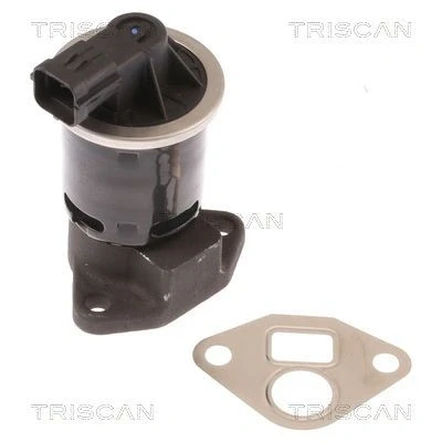Imagem de TRISCAN 8813 21004 Válvula EGR electrónico com juntas CHEVROLET: Lacetti Hatchback
