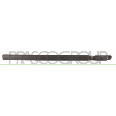 Imagem de PRASCO RN3251403 Friso Porta RENAULT: CLIO 3