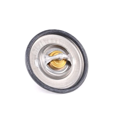 Imagem de WAHLER 3141.87D Termóstato, líquido de refrigeração 87 com junta VOLKSWAGEN: Golf 4, 5, Passat B5 Sedan, SEAT: Ibiza 2, 3