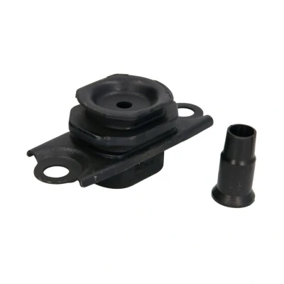 Imagem de REINHOCH RH11 2166 Suporte, motor esquerda
