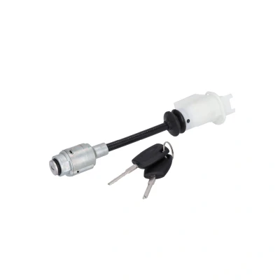 Imagem de FEBI BILSTEIN 196529 Canhão de Fechadura FORD: Focus C Max