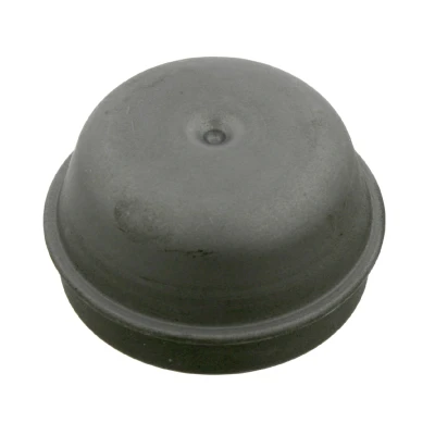 Imagem de FEBI BILSTEIN 05286 Tampa de protecção, cubo da roda