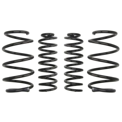 Imagem de EIBACH Pro Kit E10 75 003 02 22 de suspensão, molas RENAULT: MEGANE 2