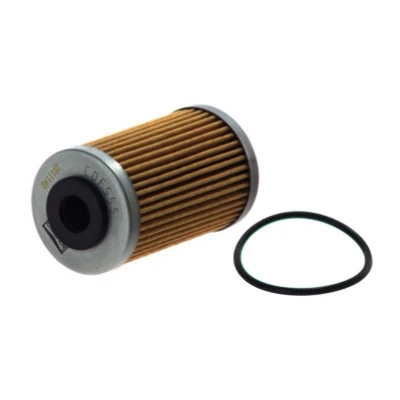 Imagem de Filtro de óleo CHAMPION COF555