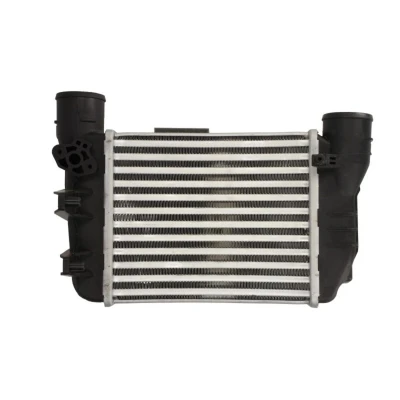 Imagem de THERMOTEC DAA025TT Intercooler AUDI: A4 B7 Avant, B6 Sedan, SEAT: Exeo ST
