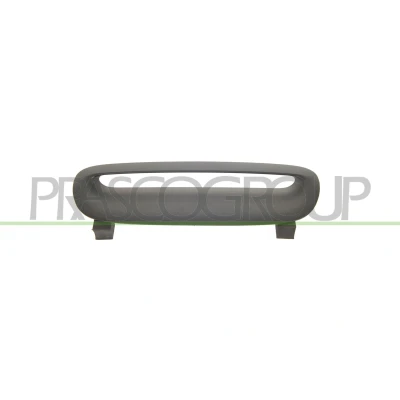 Imagem de PRASCO MN3042206 Friso, grelha do radiador