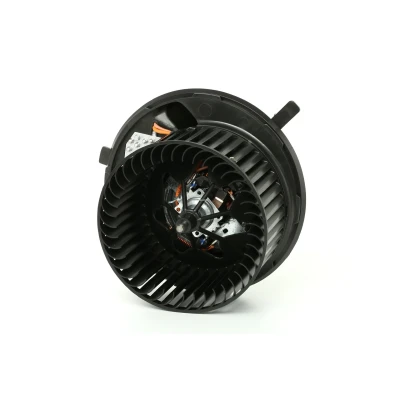 Imagem de VALEO 698811 Ventilador do Habitáculo para veículo com volante à esquerda resistência VOLKSWAGEN: Passat B6 Variant, CC, Golf 5