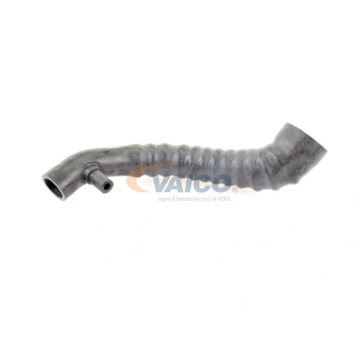Imagem de VAICO V30 2242 Mangueira Para o Turbocompressor Borracha com entretela Q+, original equipment manufacturer quality MERCEDES BENZ: Classe V