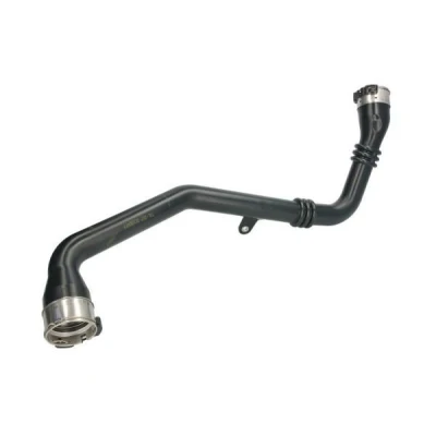Imagem de THERMOTEC DC1004TT Mangueira Para o Turbocompressor TPE (elastómero termoplástico) NISSAN: Juke