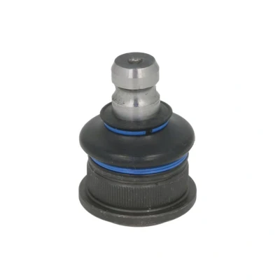Imagem de SASIC 4005280 Rótula de suspensão Eixo dianteiro, em baixo 18 RENAULT: CLIO 3, MEGANE 2, GRAND SCENIC 2
