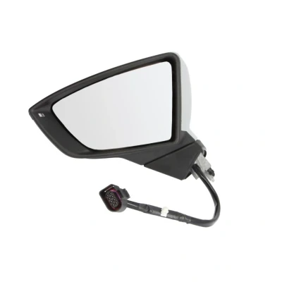 Imagem de Espelho retrovisor Blic 5402 10 2002305P esquerda com subcapa elétrico dobrável electricamente, aquecimento, completo, convexo para veícul