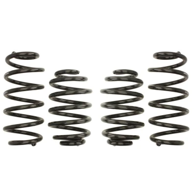 Imagem de EIBACH Pro Kit E10 85 002 08 22 de suspensão, molas VOLKSWAGEN: Passat B5 GP Variant