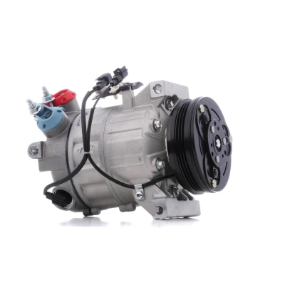 Imagem de NISSENS 890062 Compressor DCS17EC 12 PAG 46 R 134a VOLVO: XC60 I, S60 II, S80 II endado, norauto, oscaro, mister auto