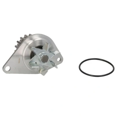 Imagem de THERMOTEC D1P043TT Bomba de água 18 mecânico PEUGEOT: 206 Hatchback, 307 SW, CITROËN: C4 I C2 C3 Hatchback
