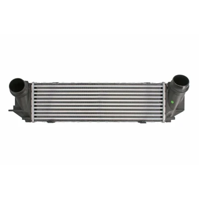 Imagem de THERMOTEC DAB014TT Intercooler 495 x 147 100 mm