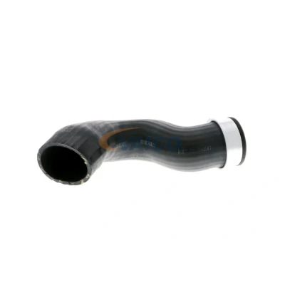 Imagem de VAICO V10 2873 Mangueira Para o Turbocompressor Borracha com entretela Original Quality AUDI: A3 Hatchback, Sportback, VOLKSWAGEN: Golf 5