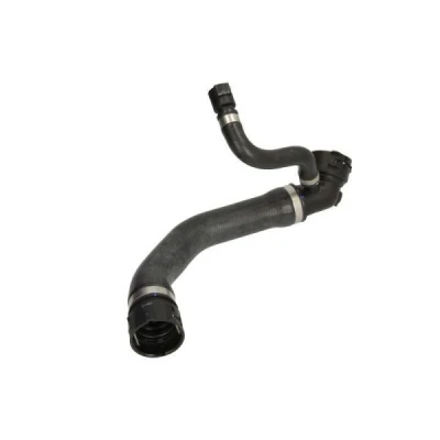Imagem de Mangueira do radiador THERMOTEC DWB091TT