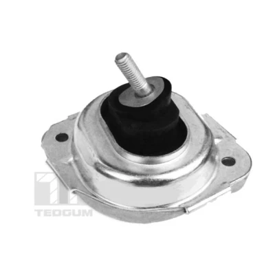 Imagem de TEDGUM 00088550 Suporte, motor à frente, lado direito Apoio hidráulico Borracha BMW: X3