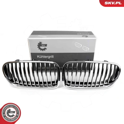 Imagem de ESEN SKV 66SKV182 Grelha de Radiador crómio BMW: 5 Touring, Sedan