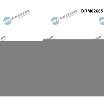 Imagem de DR.MOTOR AUTOMOTIVE DRM02685 Anilha vedante, conduta de admissão, caixa do filtro ar