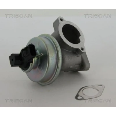 Imagem de TRISCAN 8813 16012 Válvula EGR pneumático com juntas FORD: Transit Mk5 Van, Camião de plataforma/Chassis, MONDEO 3 Kombi