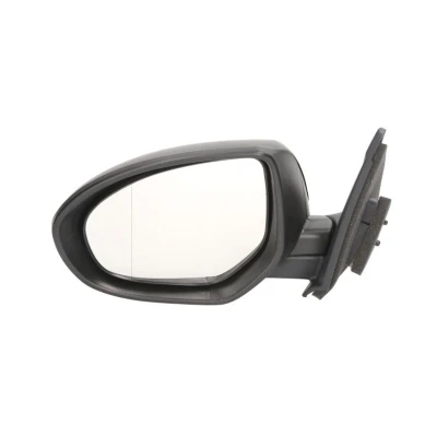 Imagem de Espelho retrovisor Blic 5402 14 2001695P esquerda com subcapa elétrico aquecimento, não esférico para veículo volante à