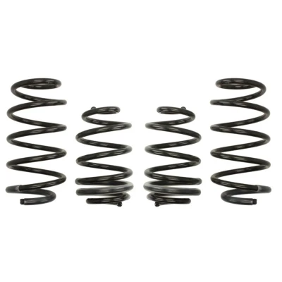 Imagem de EIBACH Pro Kit E10 75 008 11 22 de suspensão, molas RENAULT: CLIO 3, 3 Kasten