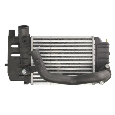 Imagem de THERMOTEC DA2002TT Intercooler 250 190 64