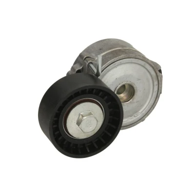 Imagem de INA 534 0068 10 Tensor, correia trapezoidal estriada PEUGEOT: 4007, LAND ROVER: Range Rover Evoque, FORD: MONDEO 4