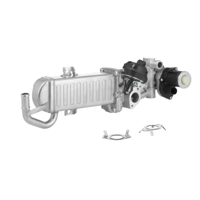 Imagem de WAHLER 710861D/1 Módulo RGE (recirculação dos gases de escape) elétrico com radiador da recirculação escape, juntas