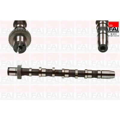 Imagem de FAI AutoParts C276 Árvore de Cames para cilindro 1 3 AUDI: A4 B6 Sedan, A6 C5 Avant, VOLKSWAGEN: Passat B5 GP Variant