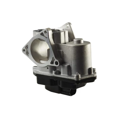 Imagem de HELLA 6NU 010 171 801 Válvula EGR elétrico com junta VOLKSWAGEN: Golf 5, Tiguan I, Passat B6 Sedan, AUDI: A3 Sportback, Hatchback, A4 B8 Sedan