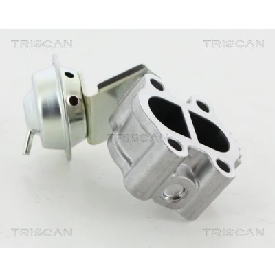 Imagem de TRISCAN 8813 13060 Válvula EGR TOYOTA: Avensis II Station Wagon, Auris Carrinha