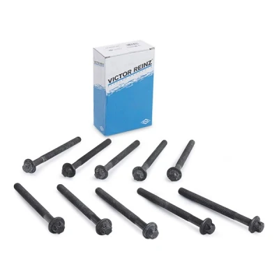 Imagem de REINZ 14 32231 01 Jogo de Parafusos da Cabeçote torx exterior RENAULT: MASTER 3, 3 Bus, Kasten, OPEL: Movano A Minibus, Vivaro Combi