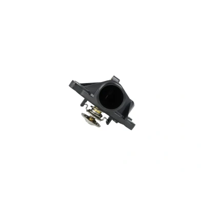 Imagem de NRF 725408 Termóstato, líquido de refrigeração Cárter integrado LAND ROVER: Freelander I SUV, SUV Cabrio, MG: ZT T Carrinha, Sedan