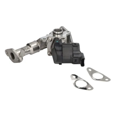 Imagem de PIERBURG 7.24809.50.0 Válvula EGR elétrico de controlo com junta BMW: 3 Touring, 1 Hatchback, 5 Touring
