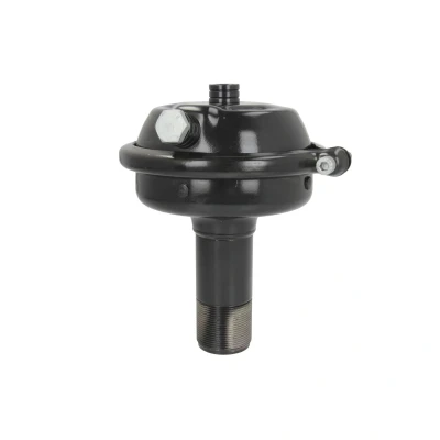Imagem de DT Spare Parts 7.34232 Cilindro de travão membrana