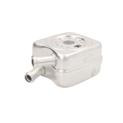 Imagem de THERMOTEC D4A009TT Radiador de Óleo AUDI: A3 Hatchback, A4 B5 Avant, B6 Sedan, VOLKSWAGEN: Passat GP Variant, Sharan I, Sedan