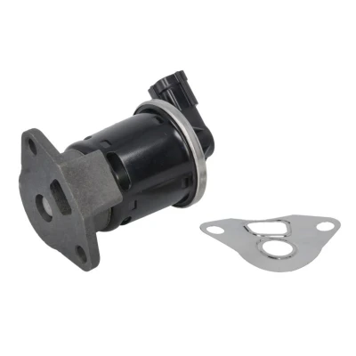 Imagem de NGK 96007 Válvula EGR elétrico com juntas CHEVROLET: Lacetti Hatchback