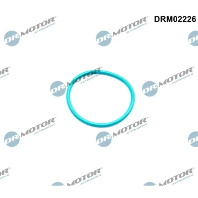 Imagem de DR.MOTOR AUTOMOTIVE DRM02226 Juntas após recirculação dos gases de escape FORD: Transit Connect V408 Van, FIESTA 6 Van