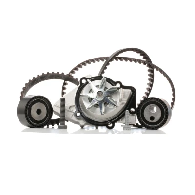 Imagem de INA 530 0111 30 bomba de Água + Kit Correia Distribuição com água PEUGEOT: Boxer Van, 306 Hatchback, 206 Hatchback
