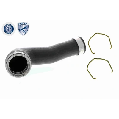 Imagem de VAICO V10 5302 Mangueira Para o Turbocompressor Borracha com entretela grampo AUDI: A3 Hatchback, Sportback, VOLKSWAGEN: Golf 5