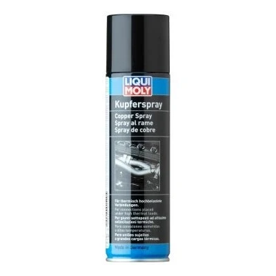 Imagem de LIQUI MOLY 1520 Massa lubrificante de cobre 250
