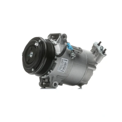 Imagem de DELPHI TSP0155449 compressor 6CVC PAG 46 com óleo de OPEL: Astra H Caravan, G CC, Hatchback, VAUXHALL: Mk5 Kombi
