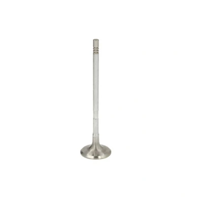 Imagem de Válvula de admissão FRECCIA R8009/SCR