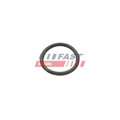 Imagem de FAST FT50406 Coletor de Admissão
