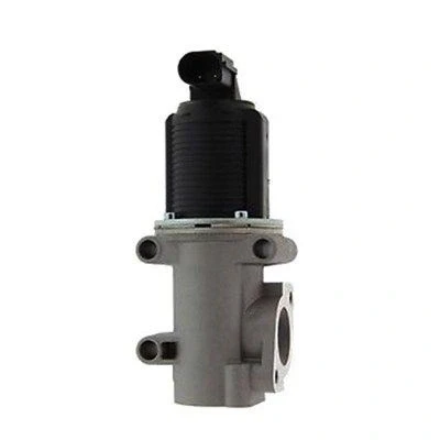 Imagem de MAGNETI MARELLI 571822112006 Válvula EGR FIAT: Doblo I Cargo, Strada Pick up