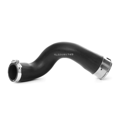 Imagem de BUGIAD 81749 Mangueira para o Turbocompressor com braçadeira, grampos tubos RENAULT: CLIO 4, Captur, 4 Kasten, DACIA: LOGAN MCV 2 endado