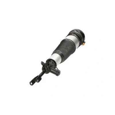 Imagem de KAVO PARTS SAS 10015 Elemento de suspensão pneumática Eixo dianteiro, lado esquerdo